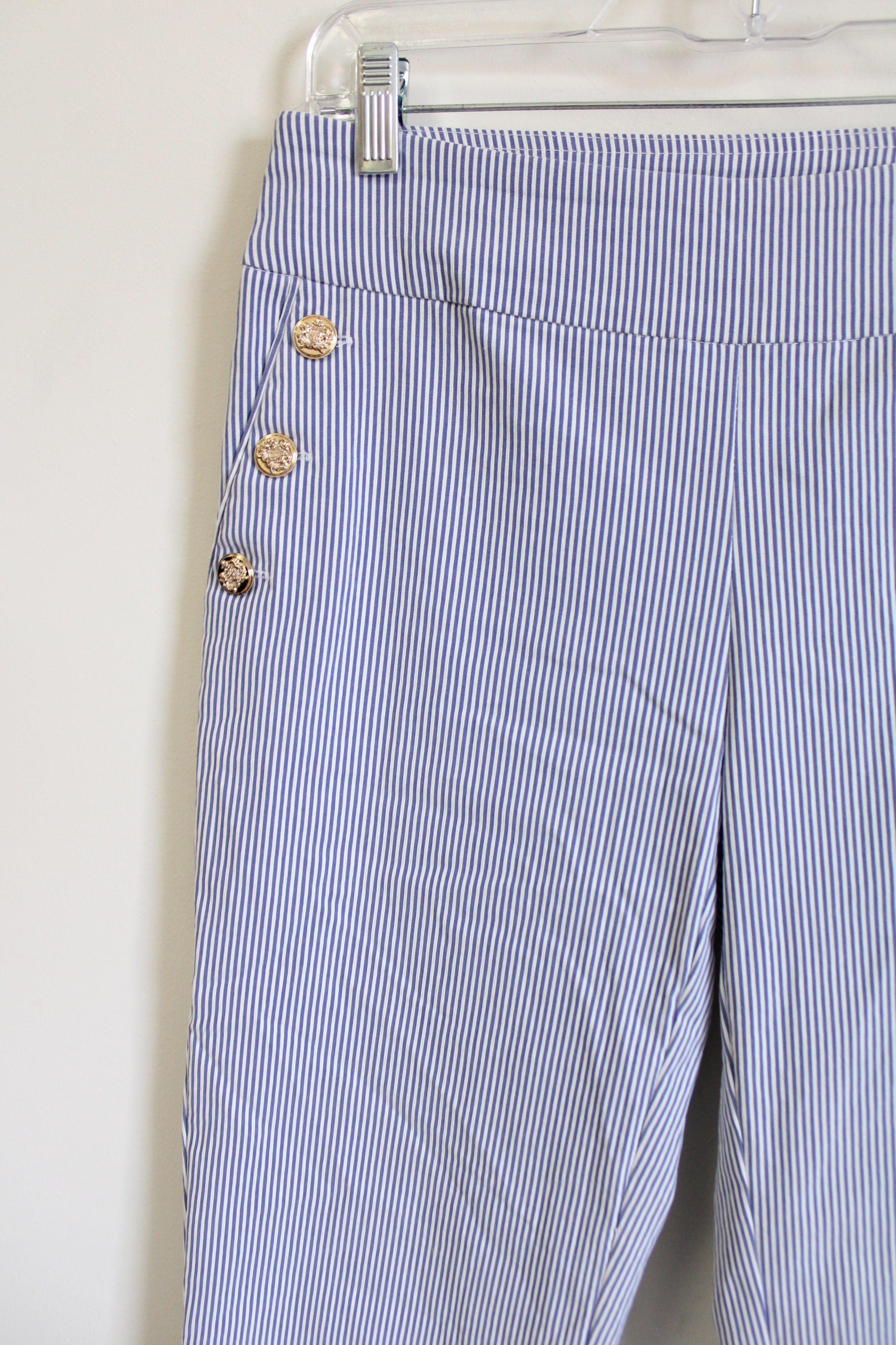 Roz & Ali Blue Striped Capri Pant | 4