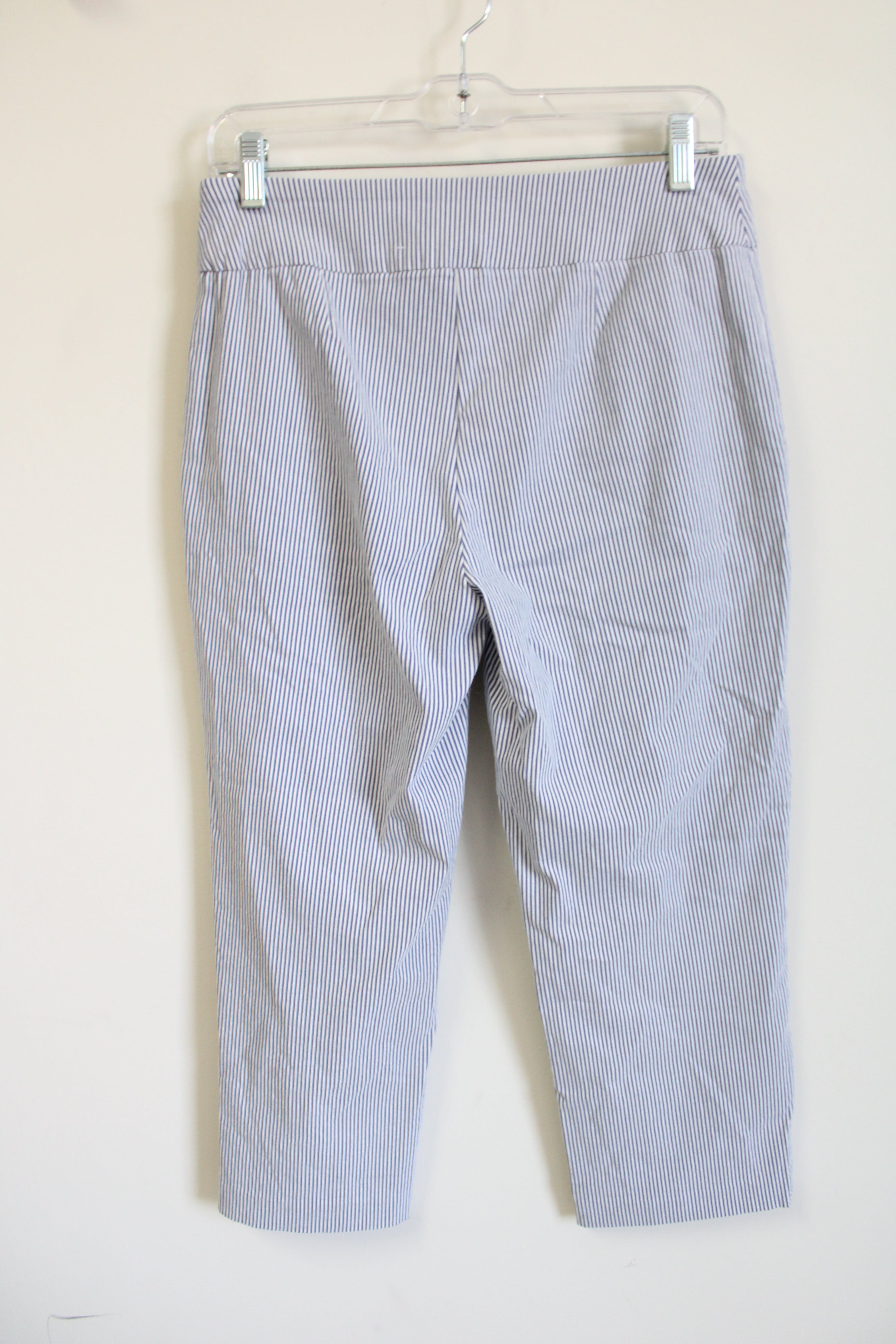 Roz & Ali Blue Striped Capri Pant | 4