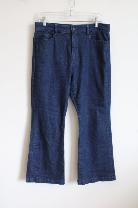 Ann Taylor Factory Dark Wash Jeans | 12 Petite