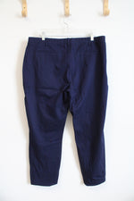 Susan Graver Navy Pants | XL