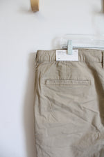 NEW American Eagle Flex Lived-In Khaki Shorts | 36