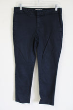 Banana Republic Hampton Fit Dark Navy Blue Pant | 4