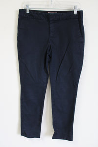 Banana Republic Hampton Fit Dark Navy Blue Pant | 4
