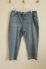 Lane Bryant Boyfriend Capri with Pearls | 16