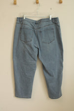 Lane Bryant Boyfriend Capri with Pearls | 16