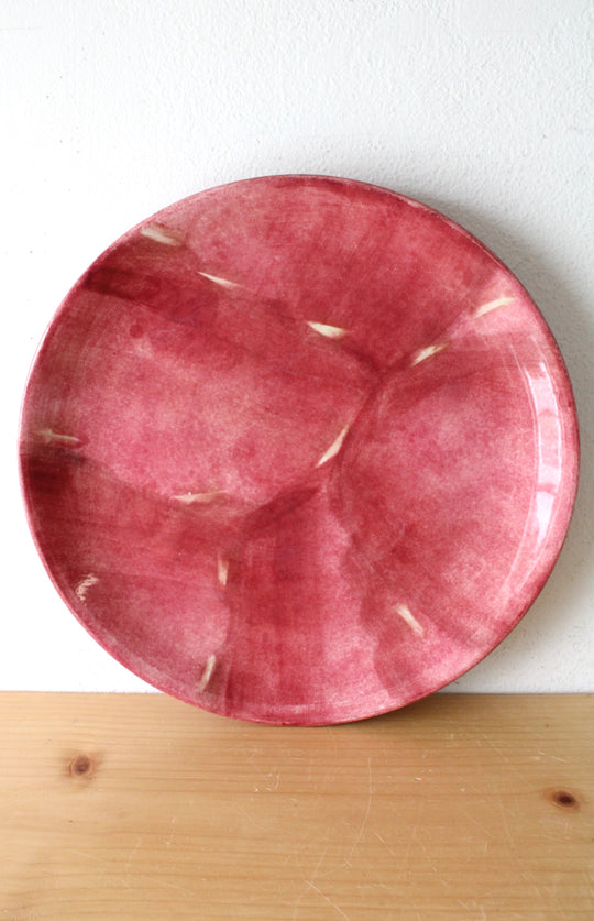 Pfaltzgraff Flower Market Pink Dinner Plate | 10"