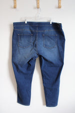 New Directions Curvy Pull-On Skinny Jeans | 24WR