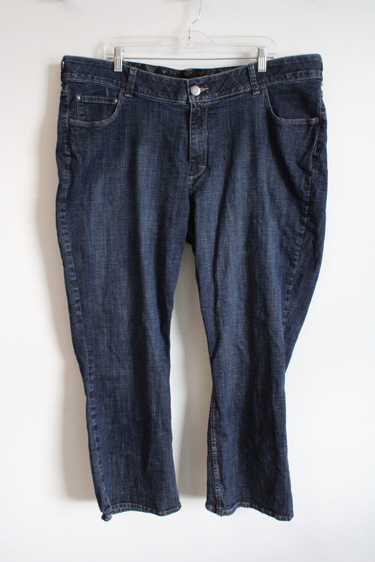 Riders Dark Wash Jeans | 24WP