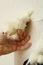 Vintage White Fur Stole Collar featuring Animal Tails and Head with Clasp