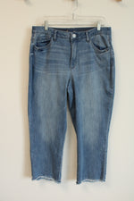 Democracy "Ab"solution Denim Jeans | 16 Petite