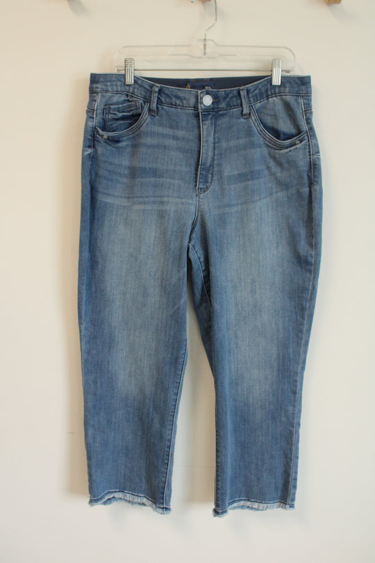 Democracy "Ab"solution Denim Jeans | 16 Petite