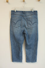 Democracy "Ab"solution Denim Jeans | 16 Petite