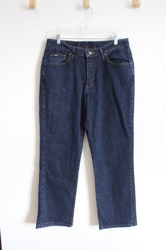Riders Dark Wash Jeans | 14 Petite