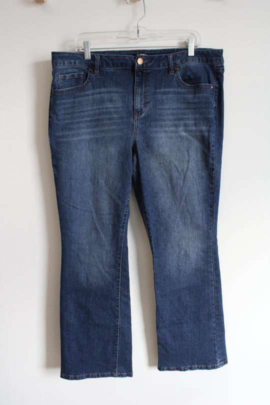D. Jeans Jeans | 16W