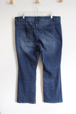 D. Jeans Jeans | 16W
