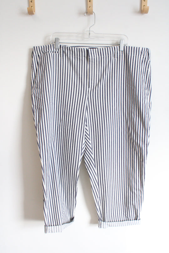 Lands' End Blue White Striped Capris | 20W