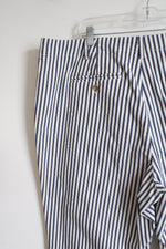 Lands' End Blue White Striped Capris | 20W