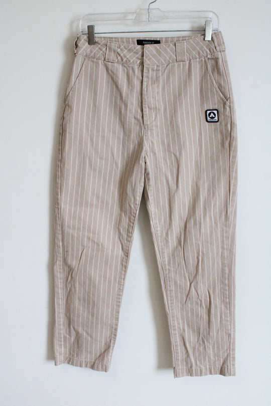Forever 21 X Airwalk Brown Striped Pants | M