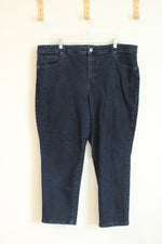 Terra & Sky Straight Dark Blue Jeans | 20W Petite