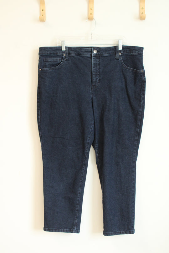 Terra & Sky Straight Dark Blue Jeans | 20W Petite