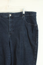 Terra & Sky Straight Dark Blue Jeans | 20W Petite