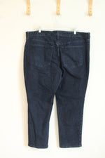Terra & Sky Straight Dark Blue Jeans | 20W Petite