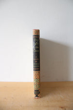 The Light In The Forest By Conrad Richter