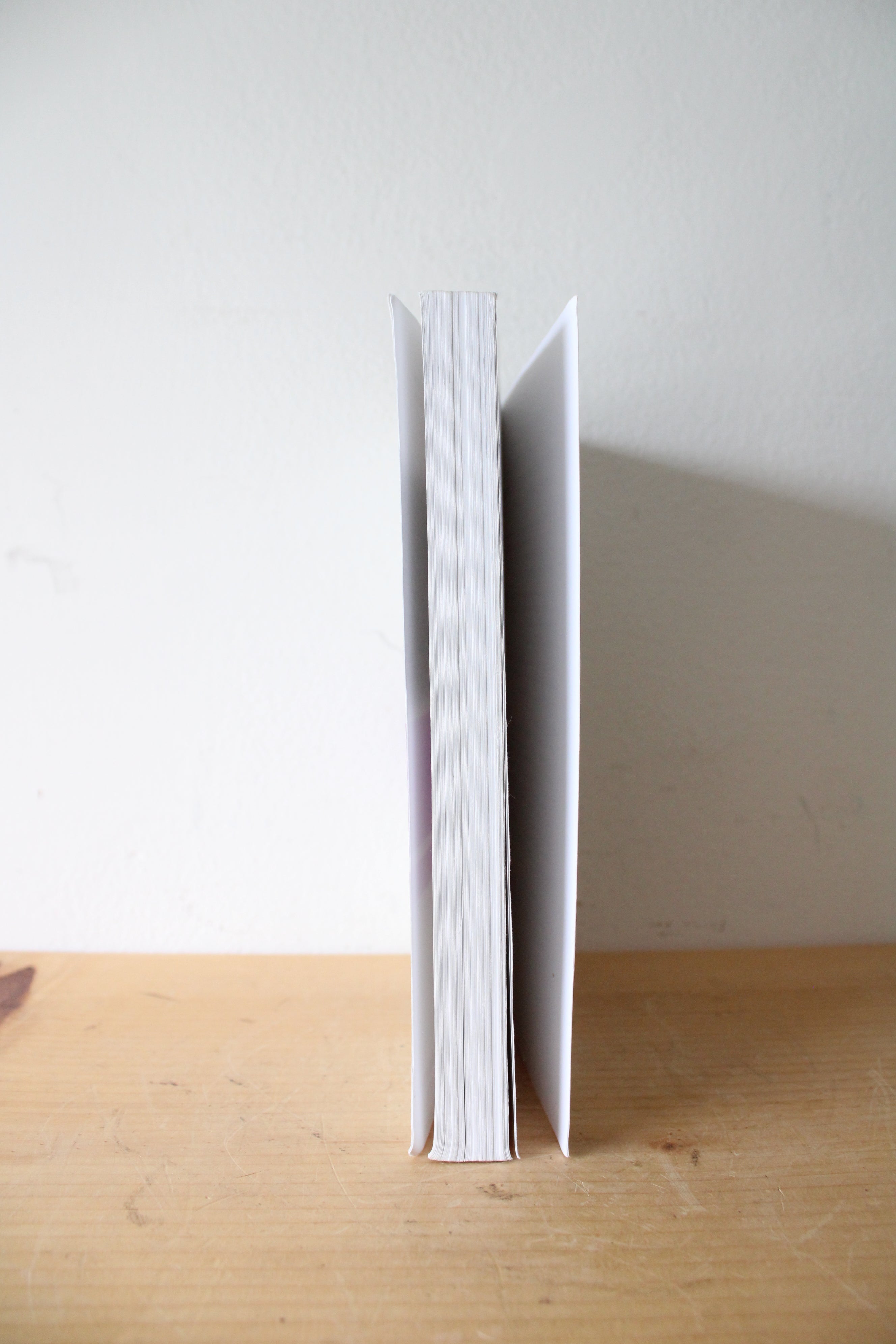 Medical Anthropology: A Biocultural Approach By Andrea S. Wiley & John S. Allen Fourth Edition