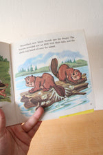 Walt Disney Story Of Hiawatha With Songs Disneyland 33 1/3 Record & Book