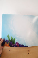 Disney 2019 The Little Mermaid Anniversary Edition Exclusive Commemorative Lithographs