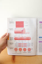 Laboratory Manual For Anatomy & Physiology Seventh Edition By Elaine N. Marieb & Lori A. Smith