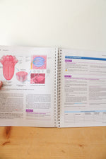 Laboratory Manual For Anatomy & Physiology Seventh Edition By Elaine N. Marieb & Lori A. Smith