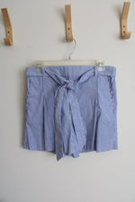 J.Crew Blue & White Striped Shorts | 6