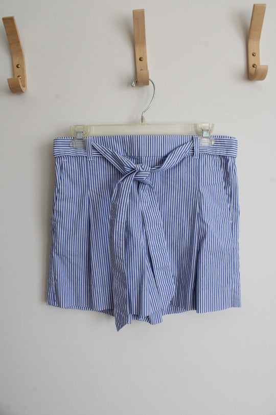 J.Crew Blue & White Striped Shorts | 6