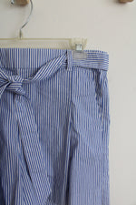 J.Crew Blue & White Striped Shorts | 6