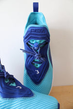 Nike Lebron James Soldier Two-Toned Blue Basketball Shoes | Size 9