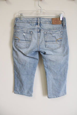 American Eagle Low Rise Vintage Artist Long Shorts | 0