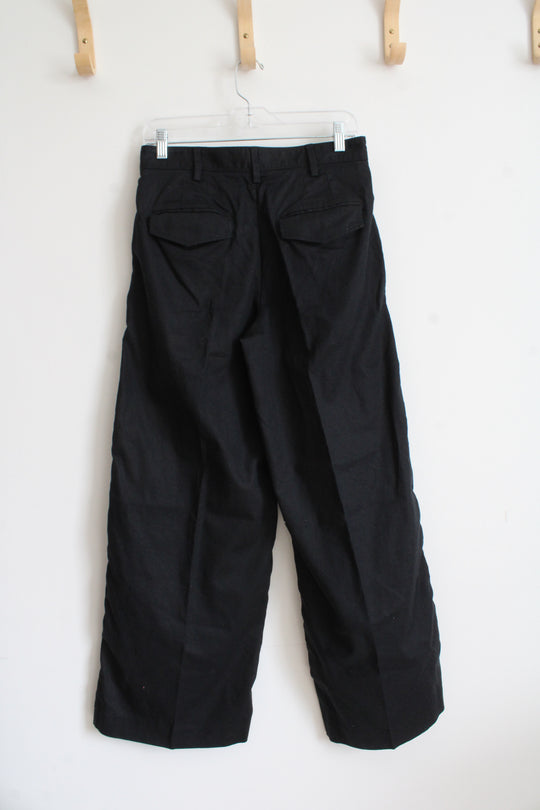 Banana Republic Black Pleated Wide Leg Linen Blend Pants | 6