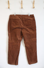 CJ Banks Brown Corduroy Pants | 18W