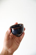 Asian Pottery Traveling Tea Set