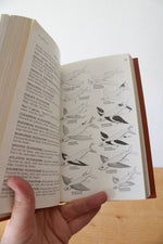 Roger Tory Peterson Field Guide Atlantic Coast Fishes Easton Press