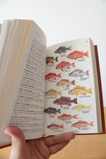 Roger Tory Peterson Field Guide Atlantic Coast Fishes Easton Press