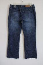Ann Taylor LOFT Stretch Denim Jeans | 12