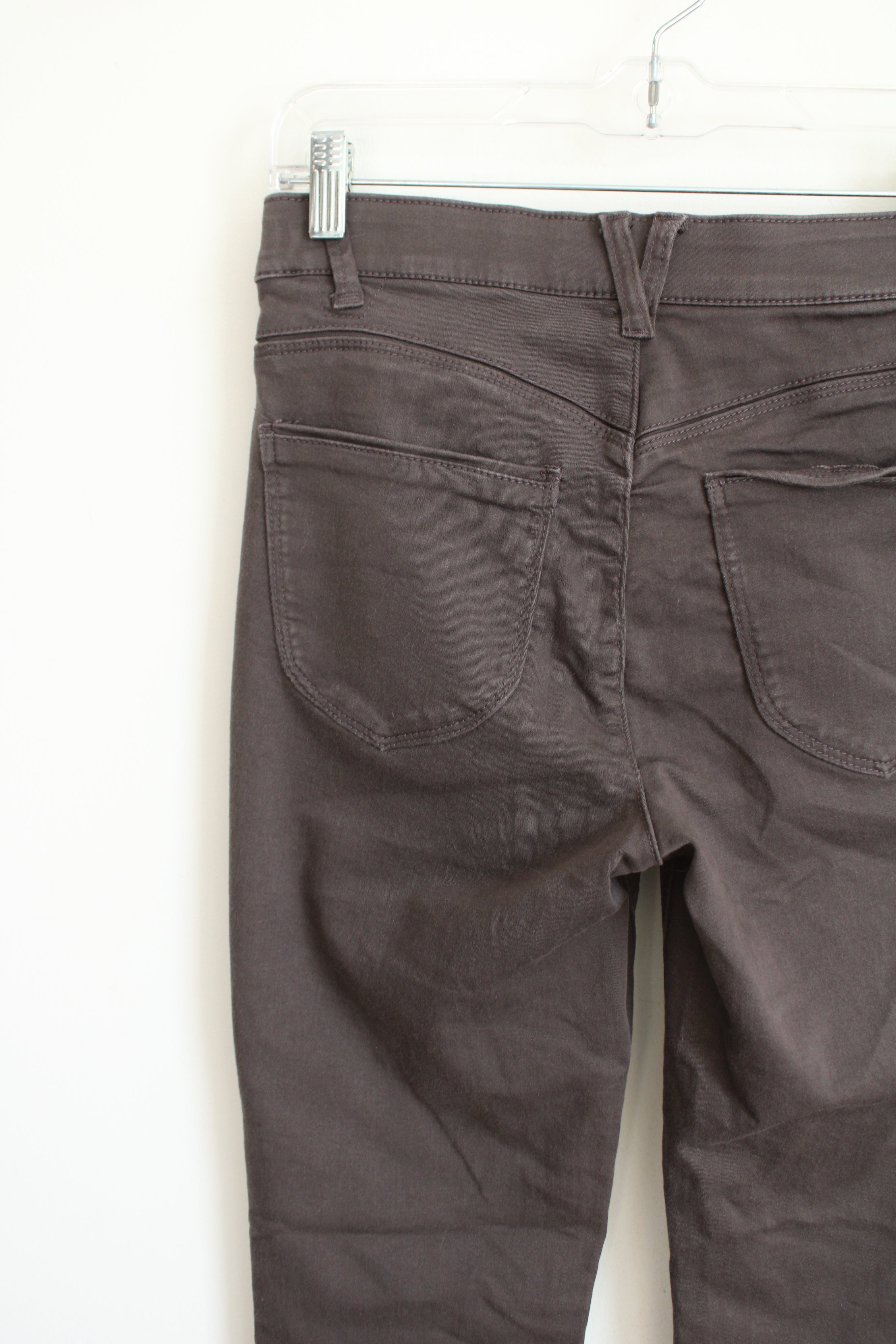 Democracy "Ab"Solution Brown Pants | 4