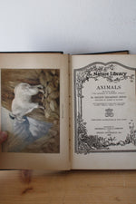 The Nature Library "Animals" By Ernest Thompson Seton