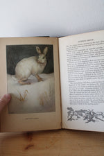 The Nature Library "Animals" By Ernest Thompson Seton