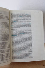 ESV Single Column Journaling Bible Large Print