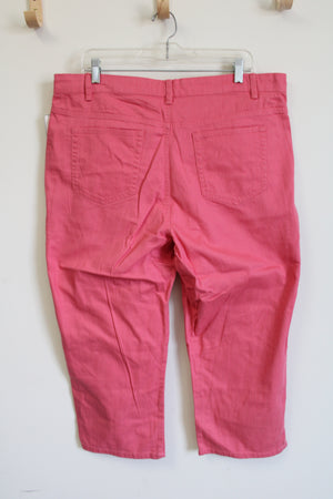 Jaclyn Smith Pink Denim Capri | 18