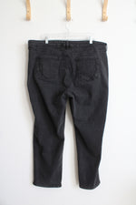 Bandolino Mandie Black Jeans | 20W