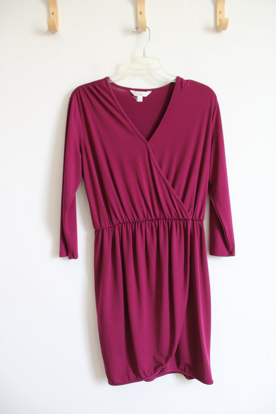Charming Charlie Pink V-Neck Long Sleeved Dress | M